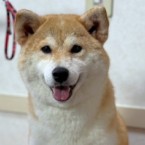 いづも